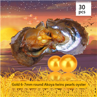 Amazing 6-7mm Round Akoya Gold twin pearls oyster 30pcs