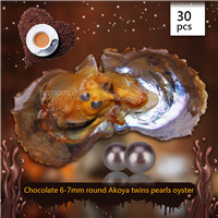 Amazing 6-7mm Round Akoya Chocolate twin pearls oyster 30pcs
