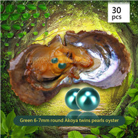 Fresh 6-7mm Round Akoya Green twin pearls oyster 30pcs