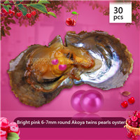 Shinning 6-7mm Round Akoya Hot pink twin pearls oyster 30pcs