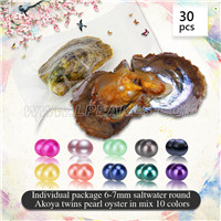 Mixed 10 colors 6-7mm Round Akoya twin pearls oyster 30pcs