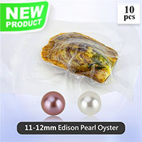 11-12mm natural round Edison Pearls in oyster 10pcs