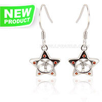 Latest 925 sterling silver Stars women earrings fitting