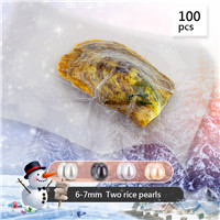 100pcs 6-7mm freshwater two oval pearl in oyster