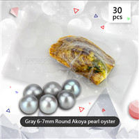 Amazing Gray Round AAA Akoya 6-7mm pearl in oyster 30pcs