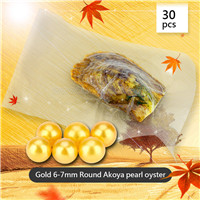 wholesale 6-7mm saltwater round Akoya gold pearl oyster 30pcs