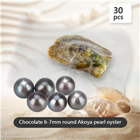 Wholesale Chocolate Round AAA Akoya 6-7mm pearl in oyster 30pcs