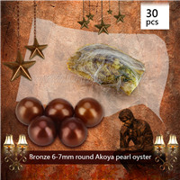 Popular Bronze 6-7mm Round Akoya pearl oyster 30pcs