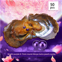 Mystic 6-7mm Round Akoya Bright purple twin pearls oyster 50pcs