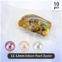11-12mm natural round Edison Pearls in oyster 10pcs