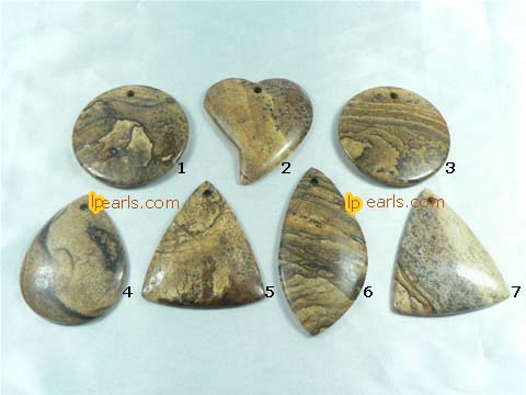 5 pieces different shape dwyhee picture jasper pendant pendant